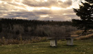 Bench Photograph