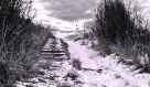 Hill Path