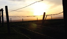 Sun Fence Photograph