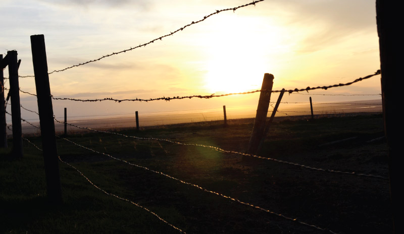 Sun Fence