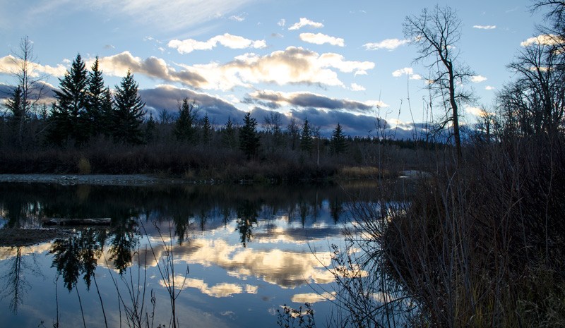 Watery Reflections